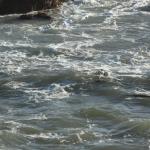 cambria2014_093 (October 25, 2013)